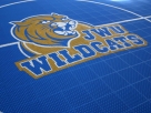 8-basketball-courts-0008